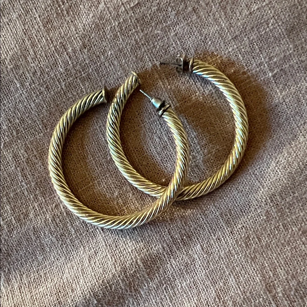 Elegant Gold Hoop Earrings - Picture 1 of 1